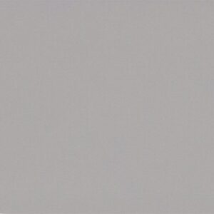 紐約大都會 (淡灰/亮面)